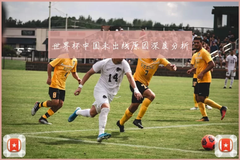 世界杯中国未出线原因深度分析