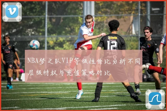 NBA梦之队VIP等级性价比分析不同层级特权与充值策略对比