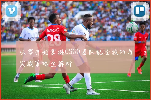 从零开始掌握CSGO团队配合技巧与实战策略全解析
