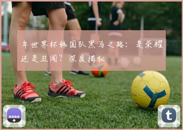 年世界杯韩国队黑马之路:是荣耀还是丑闻?深度揭秘