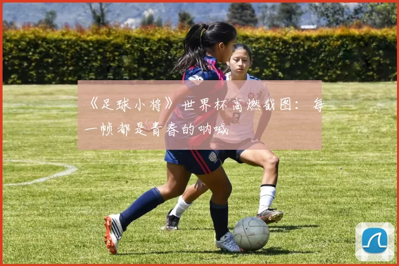 《足球小将》世界杯高燃截图：每一帧都是青春的呐喊