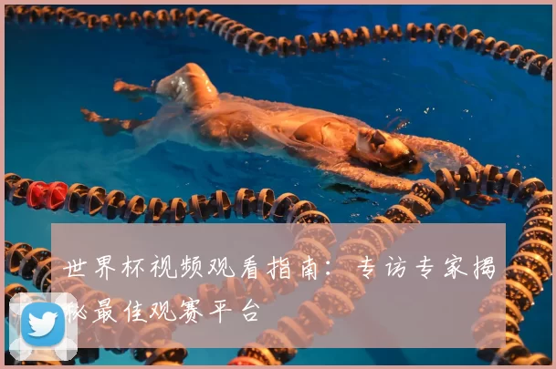 世界杯视频观看指南:专访专家揭秘最佳观赛平台