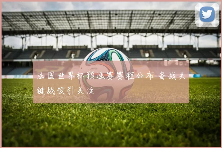法国世界杯预选赛赛程公布 备战关键战役引关注